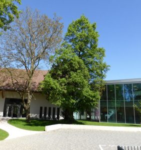 Médiathèque "La Citadelle" à Sierentz